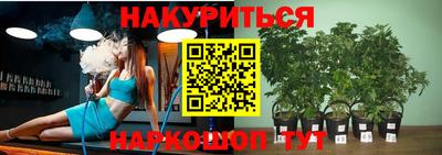 PSILOCYBIN Донецк
