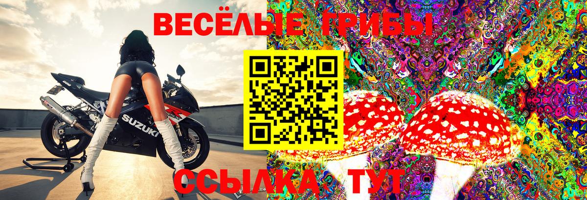 Галлюциногенные грибы Cubensis  Вход с VPN  Комсомольск-на-Амуре 